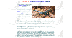 Desktop Screenshot of mountainboomer.com